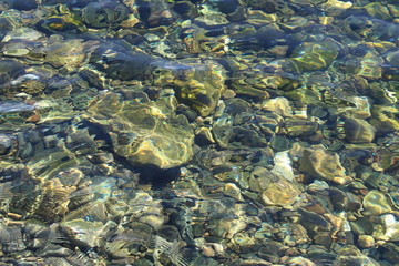 Baikal clear water