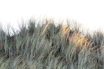 Dänemark, Jammerbucht