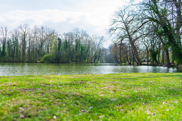 Landscape with lake and island