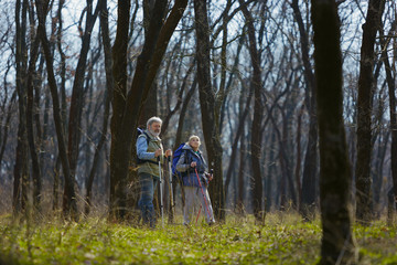 Obraz premium Let's go together. Aged family couple of man and woman in tourist outfit walking at green lawn near by trees in sunny day. Concept of tourism, healthy lifestyle, relaxation and togetherness.