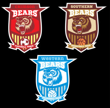 Furious bear sport logo concept.