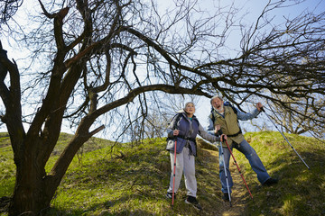 Astonished of beauty. Aged family couple of man and woman in tourist outfit walking at green lawn near by trees in sunny day. Concept of tourism, healthy lifestyle, relaxation and togetherness.