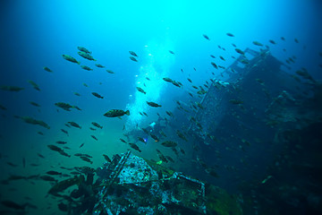 Naklejka na ściany i meble shipwreck, diving on a sunken ship, underwater landscape