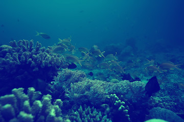 coral reef vintage toning / unusual landscape, underwater life, ocean nature