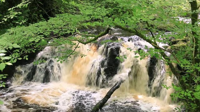 Glenariff River in Glenariffe Forest Park in Ireland