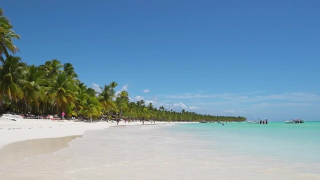 Palms island beach and blue Atlantic ocean. Travel to Dominican Republic island. Summer background. Big wild beach with palm trees and white sand blue water and sky. Beautiful turquoise sea