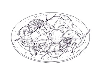 Tasty salad on plate hand drawn with contour lines on white background. Delicious restaurant veggie meal made of fruits, nuts and spinach leaves. Appetizing vegan dish for lunch. Vector illustration.