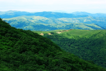 landscape hills with forest