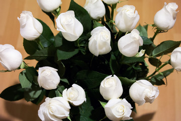 Bouquet, white roses, tenderness, spring, gift, delight