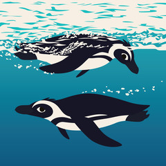 Naklejka premium Two penguins floating in the sea water. Antarctic birds swimming in ocean, looking to each other. Vector illustration of cute african penguins underwater in flat cartoon style on blue background.