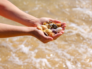 Fototapeta na wymiar Hands holding sea shells