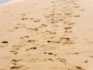 Footprints in the sand at the sea