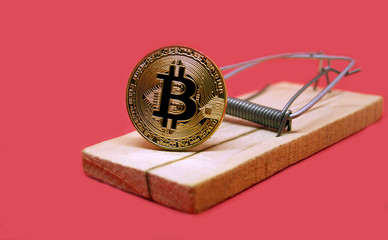 Mousetrap with gold bitcoin