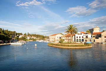 The palm on a small island in Village Vrboska on the north coast of the island of Hvar in Dalmatia, Croatia, in the Municipality of Jelsa.