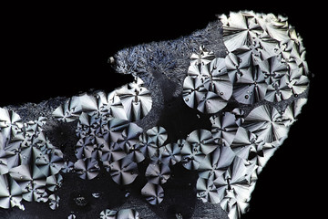 Crystals of ascorbic acid, microscope image