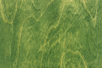Green wooden textured background, painted surface