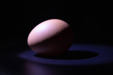 Chicken egg half lightened with shadow under it on black background