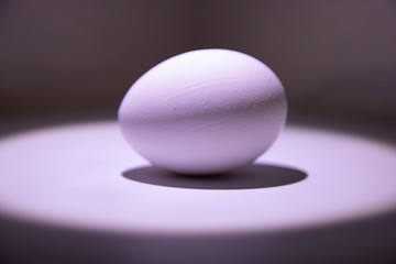 Chicken egg half lightened with shadow under it in light circle on grey background