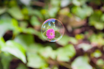 purple flower flying inside an air bubble