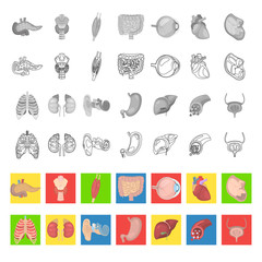 Obraz premium Human anatomy color flat, line and monochrome icons set