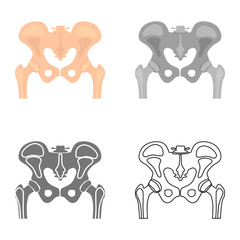 Human pelvic bones color flat, line, simple and monochrome icon set