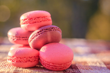 Pink pasta macarons at sunset. Pink macaroni. Delicious cakes.