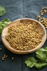 Raw, unprocessed organic coriander or cilantro seeds