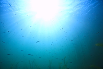 ocean water blue background underwater rays sun / abstract blue background nature water