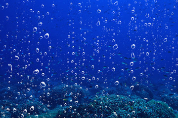Naklejka na ściany i meble background underwater air bubbles reef / abstract sea background, diving, nature, ocean