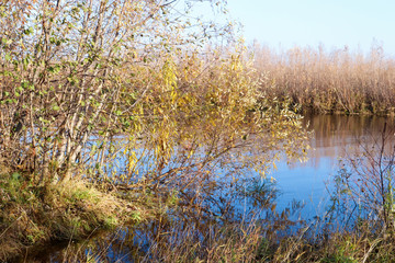Autumn day in Arkhangelsk. Island Krasnoflotsky. the reflection in the water