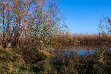 Fototapeta premium Autumn day in Arkhangelsk. Island Krasnoflotsky. the reflection in the water