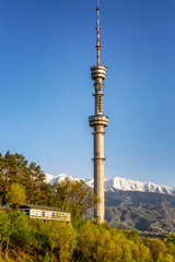 Obraz premium Beautiful view of the TV tower in Almaty on the background of bright blue sky. Vertical.