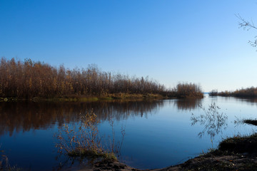 Autumn day in Arkhangelsk. Island Krasnoflotsky. the reflection in the water