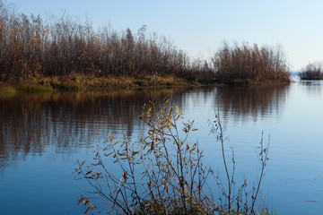 Fototapeta premium Autumn day in Arkhangelsk. Island Krasnoflotsky. the reflection in the water