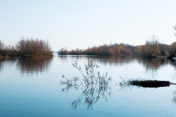 Autumn day in Arkhangelsk. Island Krasnoflotsky. the reflection in the water
