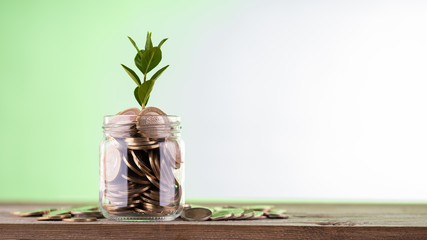 Image of pile of coins with plant on top in glass jar, Saving money and investment concepts