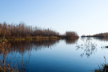 Fototapeta premium Autumn day in Arkhangelsk. Island Krasnoflotsky. the reflection in the water