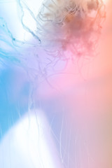 Colorful and beautiful jellyfish