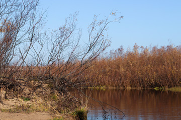 Fototapeta premium Autumn day in Arkhangelsk. View of the river Northern Dvina and river port in Arkhangelsk.