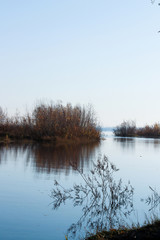 Autumn day in Arkhangelsk. Island Krasnoflotsky. the reflection in the water