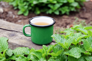 enamel cup of tea, mug of lemon balm tea