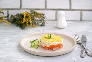 Traditional Russian salad Mimosa with boiled pink salmon, carrots, onions and eggs on a gray concrete background. Served on ceramic plates, decorated with sliced fresh cucumber
