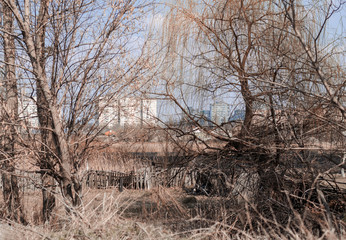 Broken wooden fence among thickets and trees