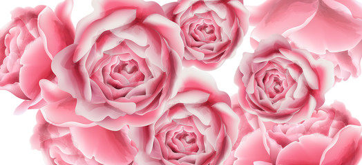 Summer card with rose flowers Vector. Vintage floral frame decors