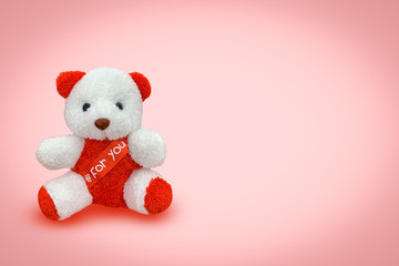 Bear doll sitting with pink background,