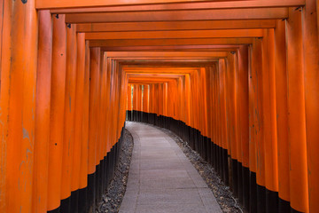 Túnel and toriis in Fushimi Inari mountain in Kyoto