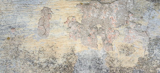 Obraz na płótnie Canvas Old wall with peel grey stucco texture. Retro vintage worn dirty wall surface. Decayed cracked rough abstract banner background