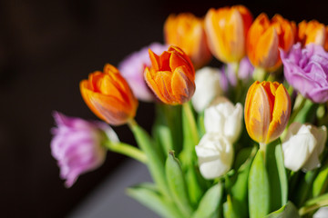 Bouquete of colorful spring tulips in a sunny day