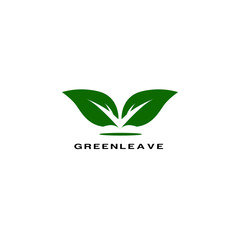 green leave logo icon vector