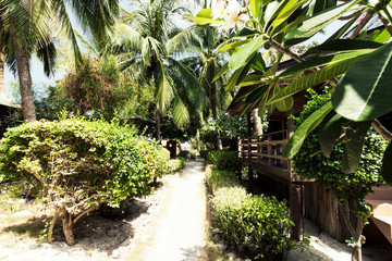 Weg zum Meer mit Palmen 2